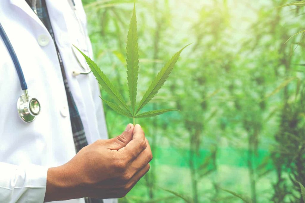CBDa vs. CBD